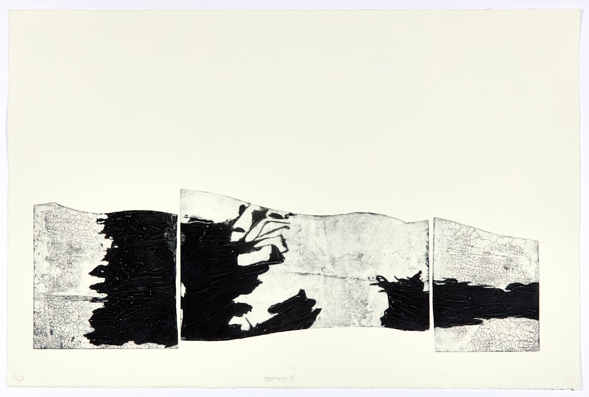 Domata III by Christine Vandrisse 