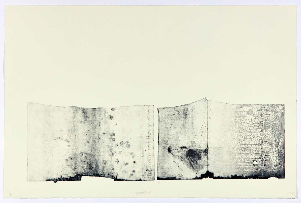 Domata IV by Christine Vandrisse 