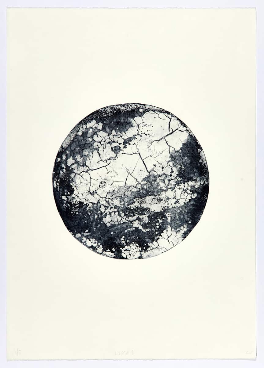 LSGDP 1 by Christine Vandrisse 