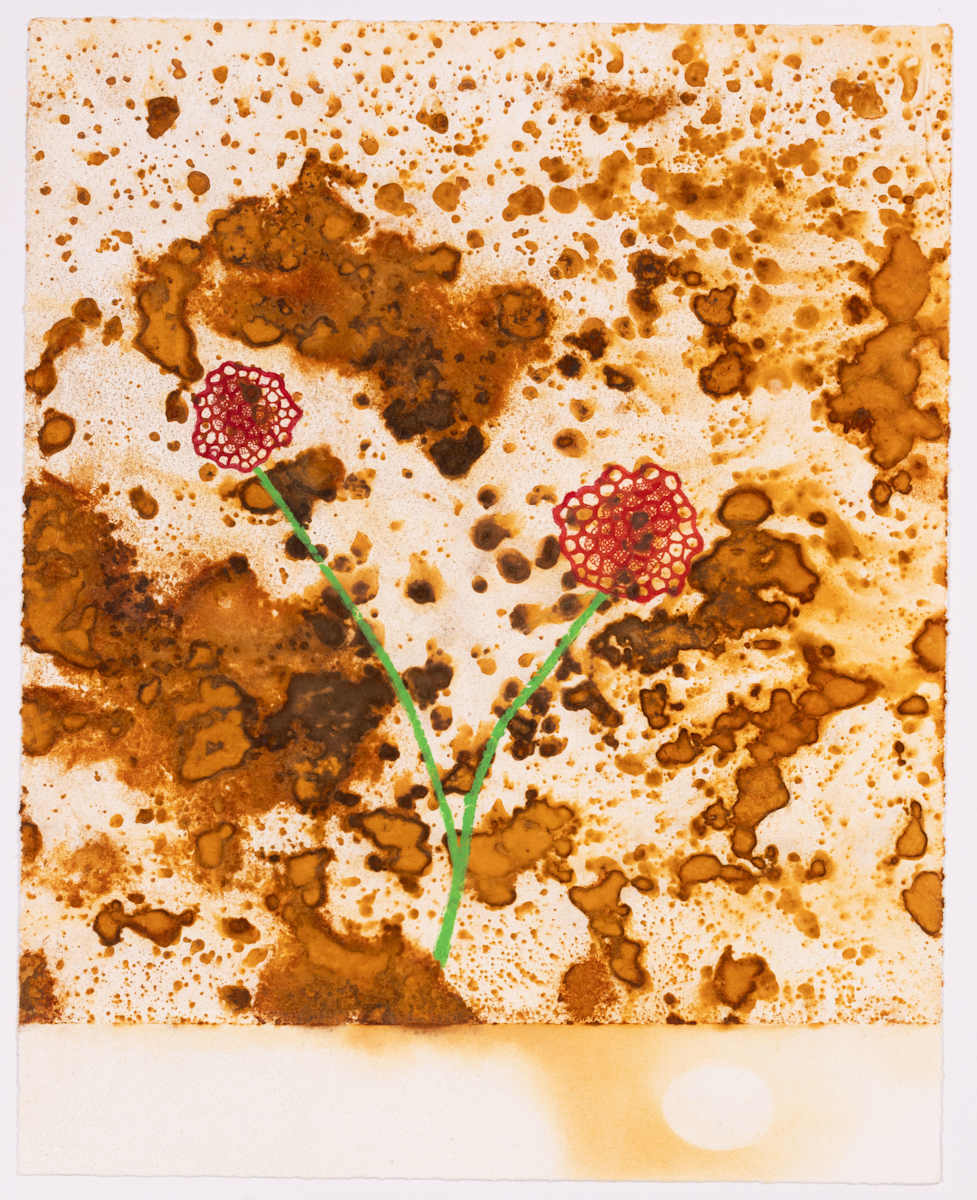 Dry Speil by Ed Pien 