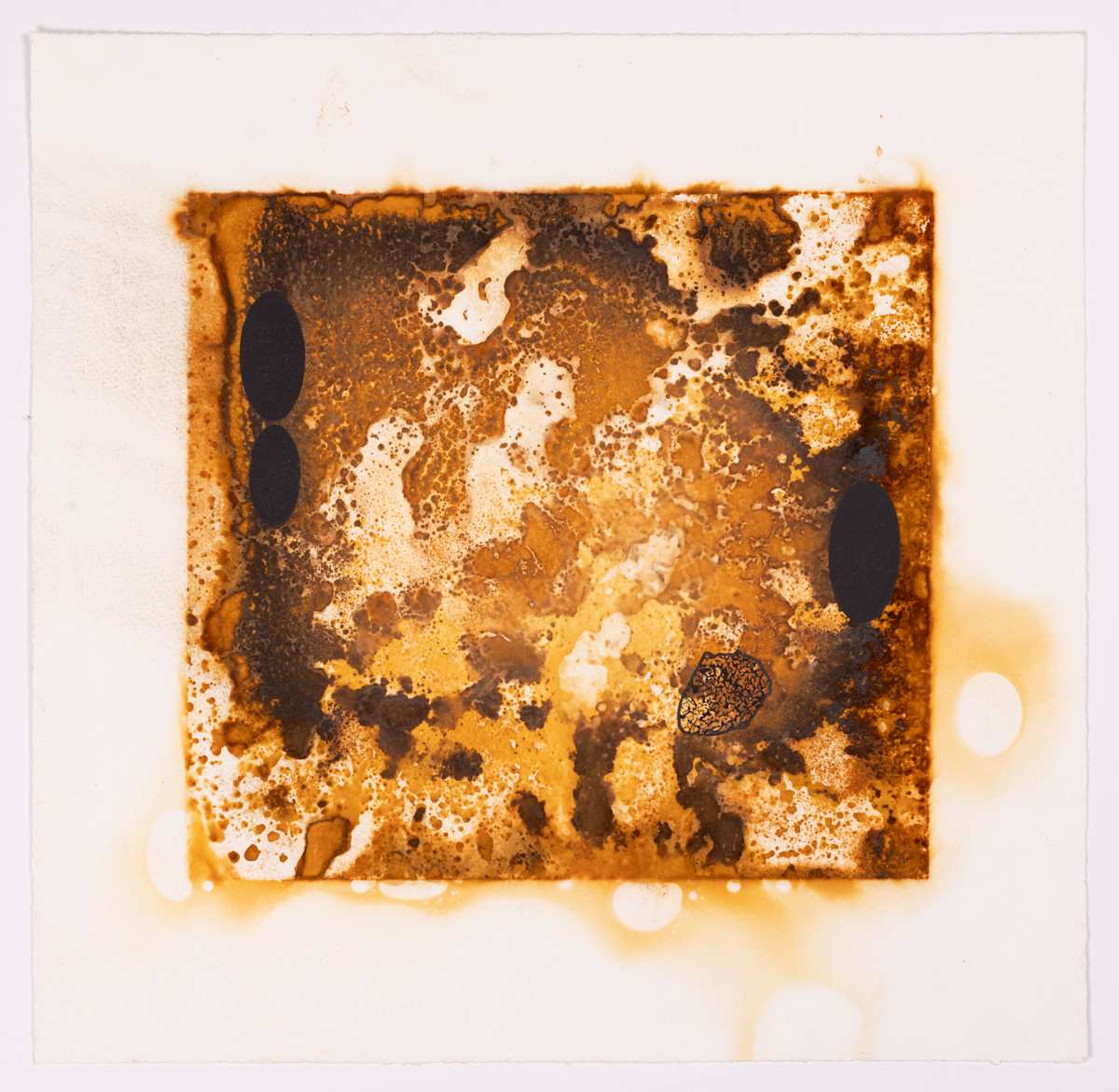 Seared Dry by Ed Pien 
