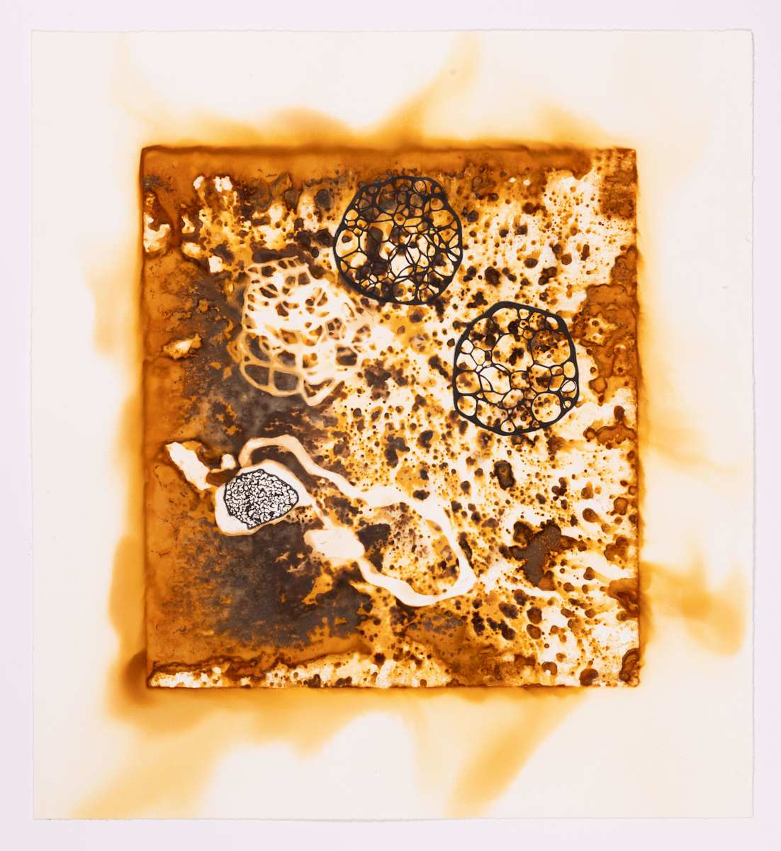 Hiding Out by Ed Pien 