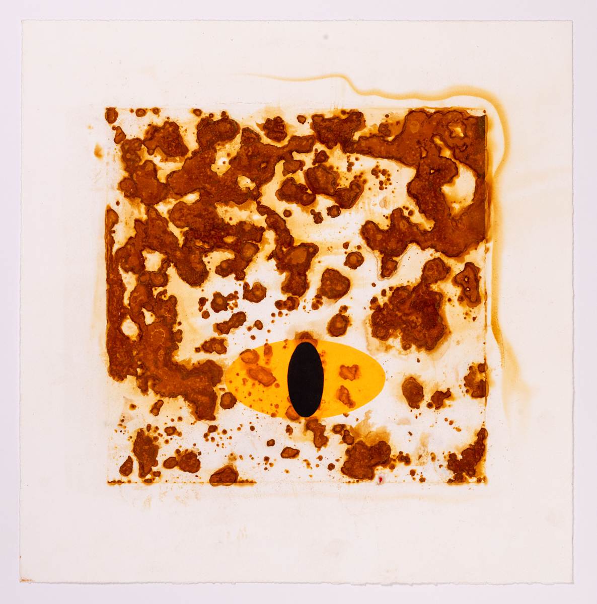 Exasperated by Ed Pien 