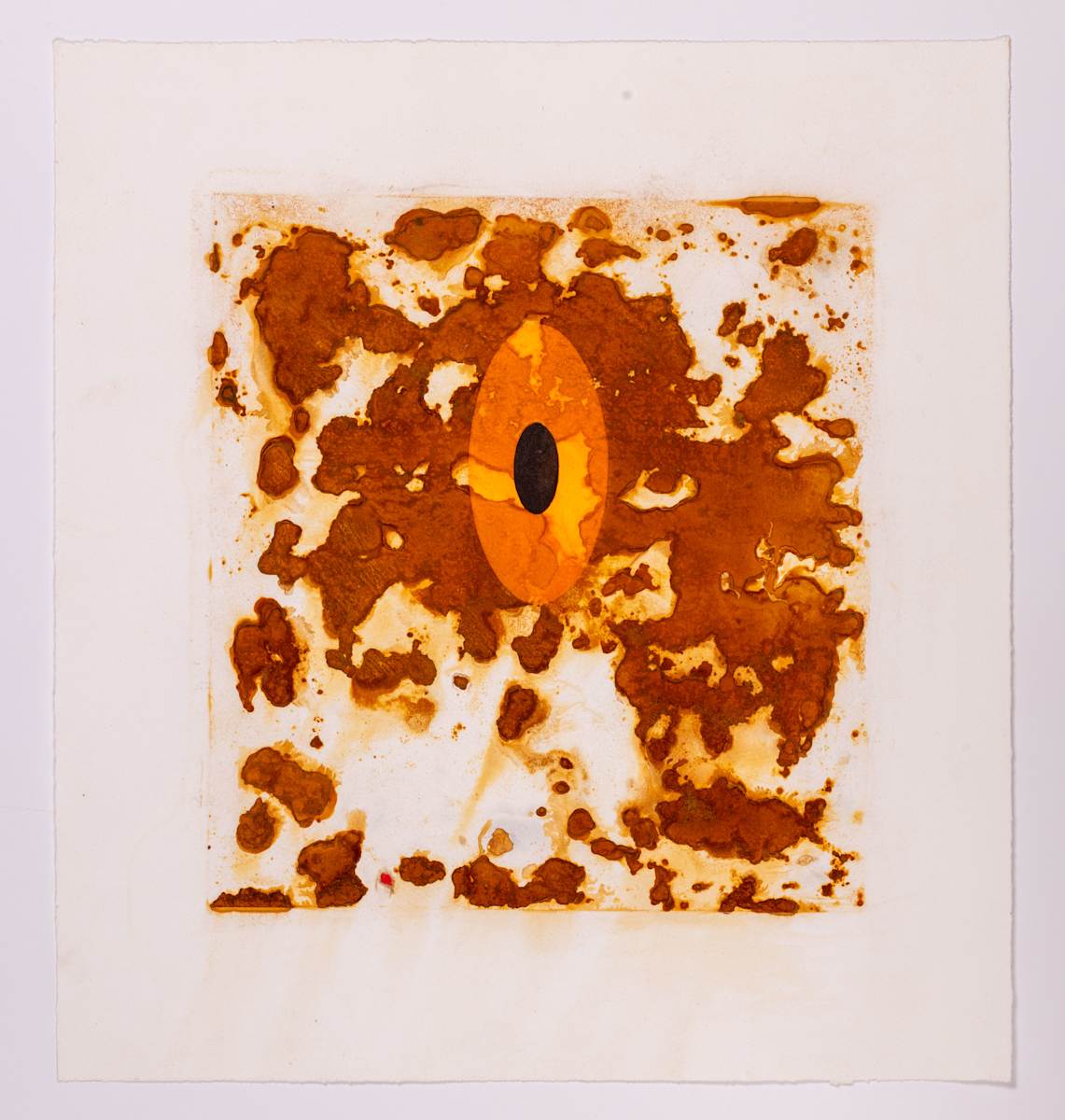 Solar Flare by Ed Pien 