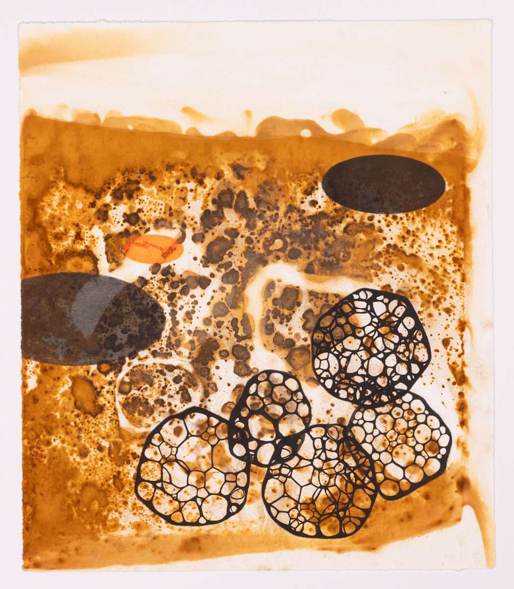 Vaporized by Ed Pien 