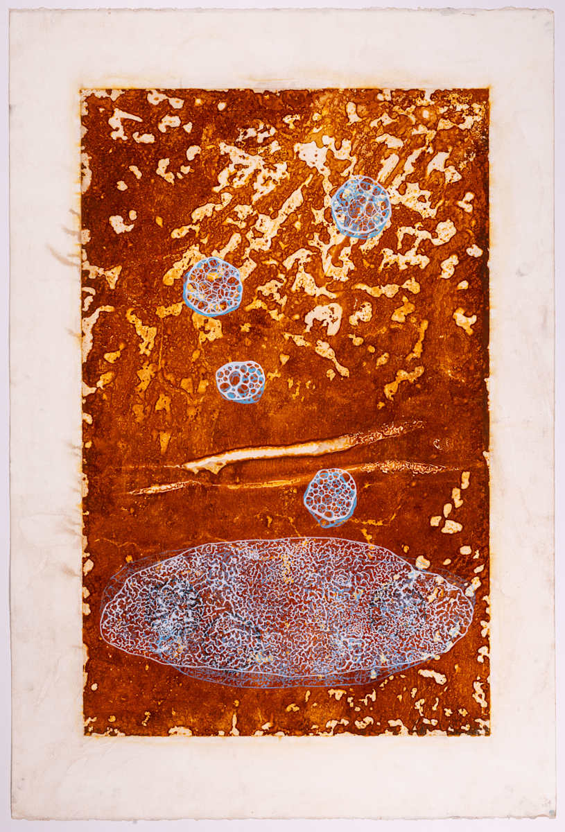 Reed Rain by Ed Pien 