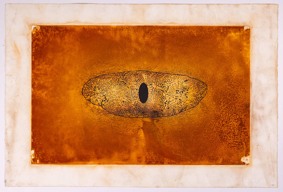 The Witness by Ed Pien 