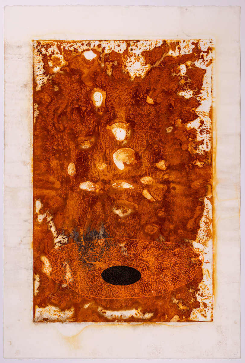 Dry basin by Ed Pien 