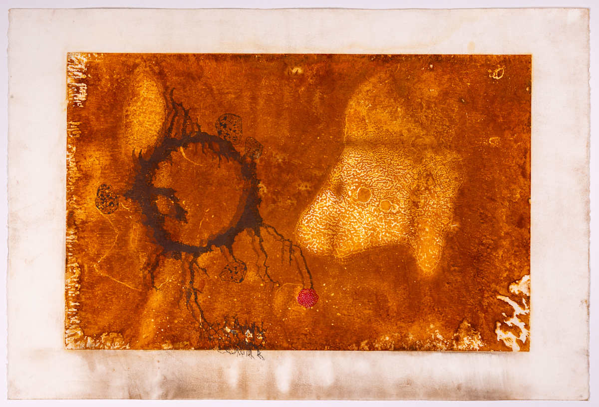 The vision by Ed Pien 