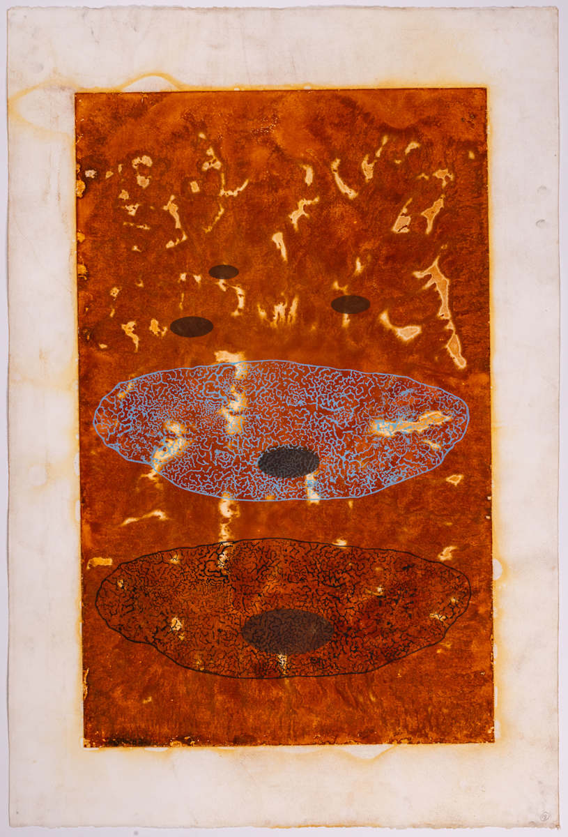 Catch basin by Ed Pien 