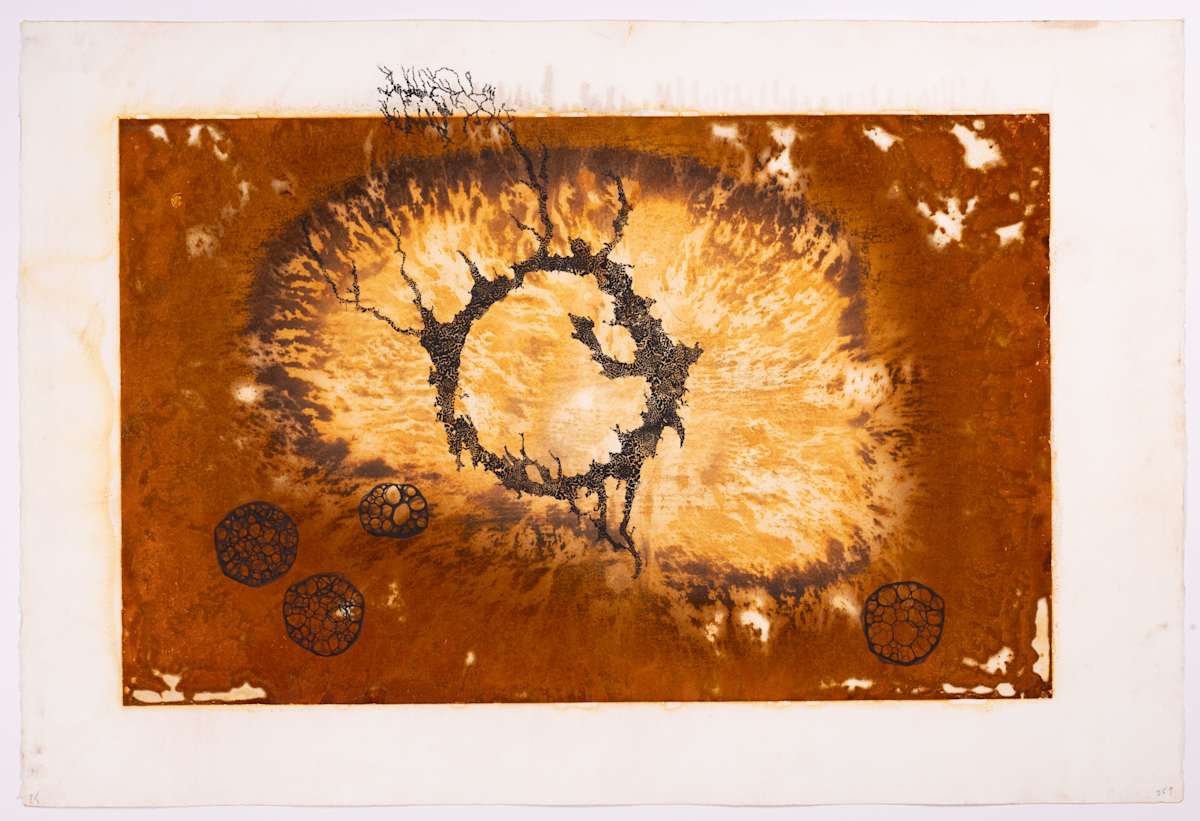 Solar eruptions by Ed Pien 