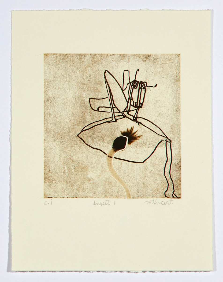 Insects by François Vincent 