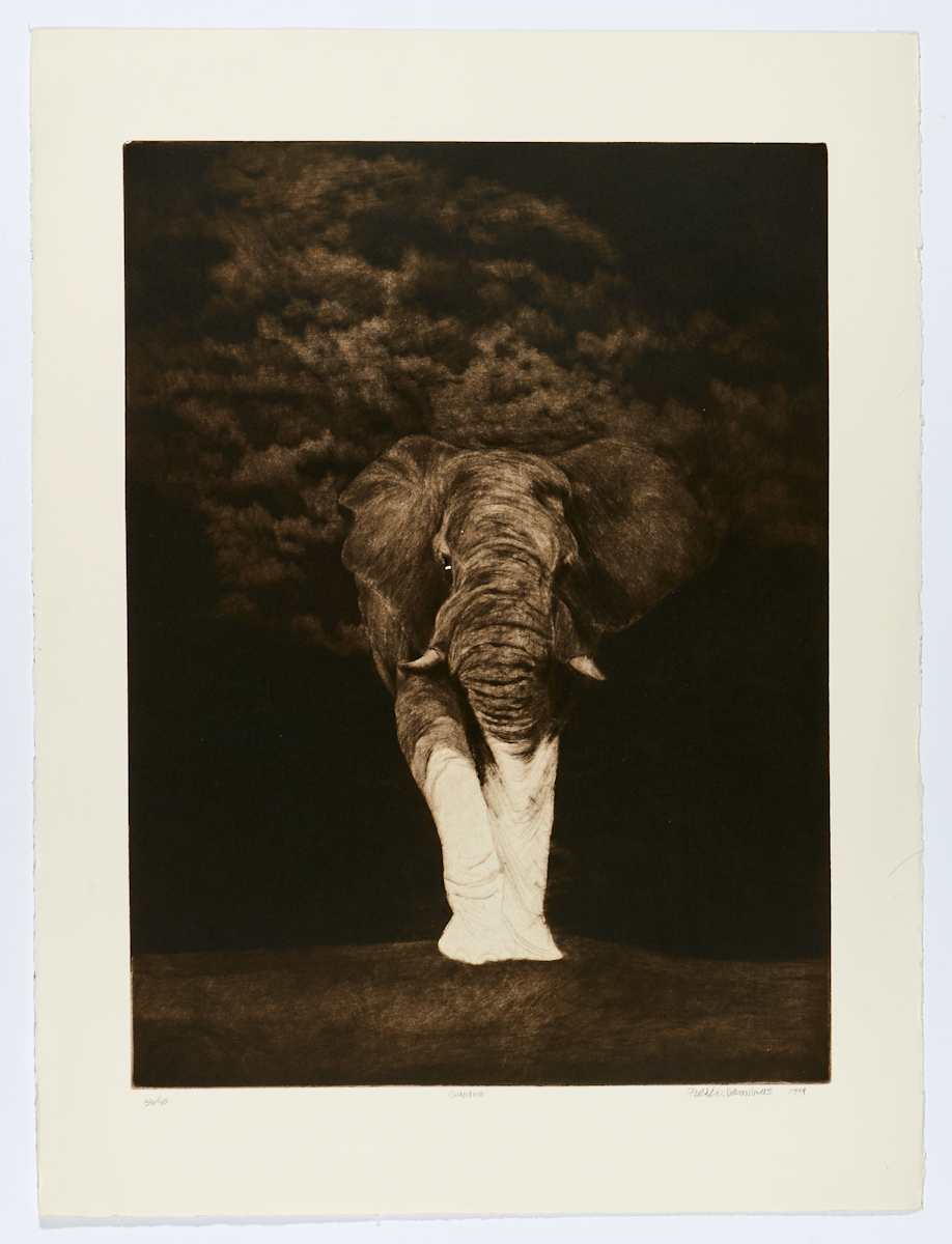 Grandeur by Frédéric Desaulniers 