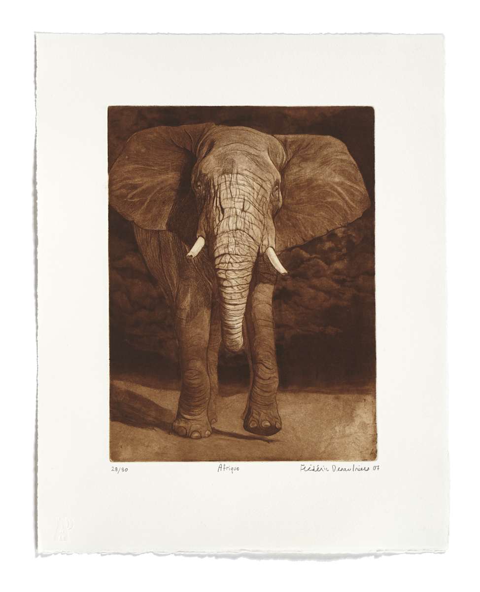 Afrique by Frédéric Desaulniers 