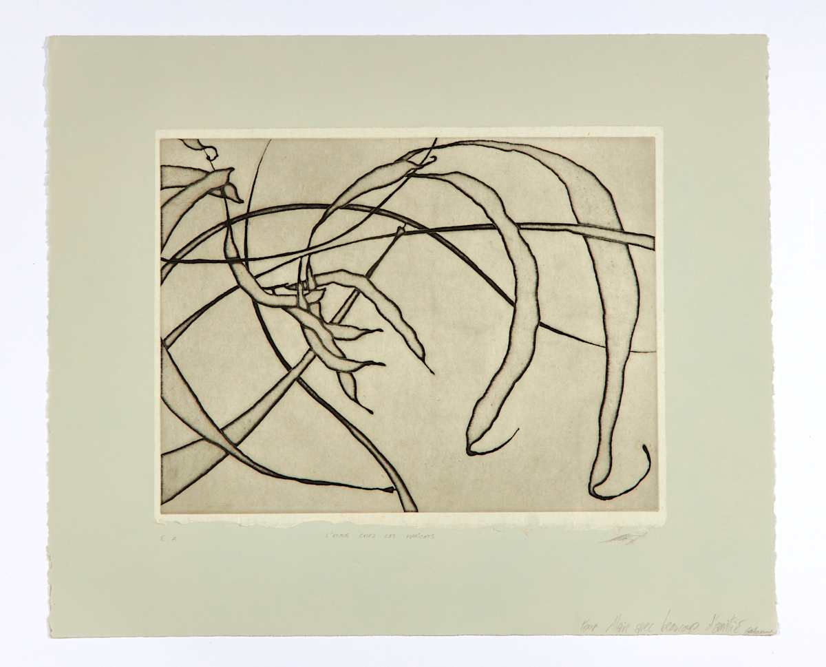 L ' amour chez les haricots by Pierre Guillaume 