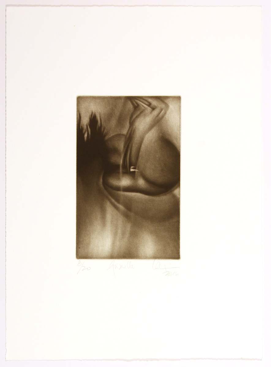 Grisaille by Guy Langevin 