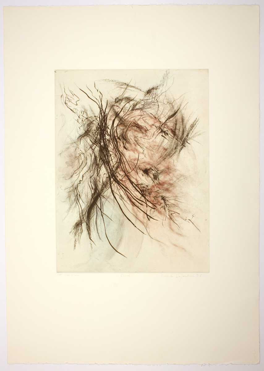 Envol by Isabelle Desjardins 