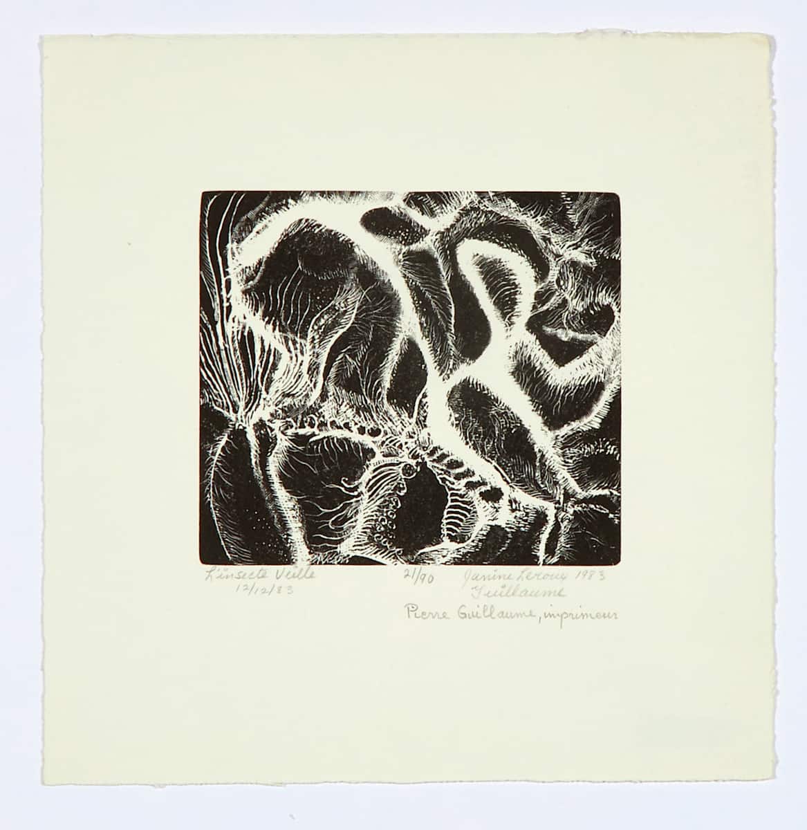 L'insecte veille by Janine Leroux-Guillaume 