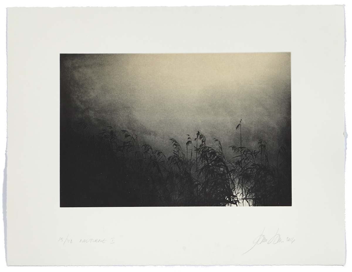Nocturne I by Jeanne Laine 