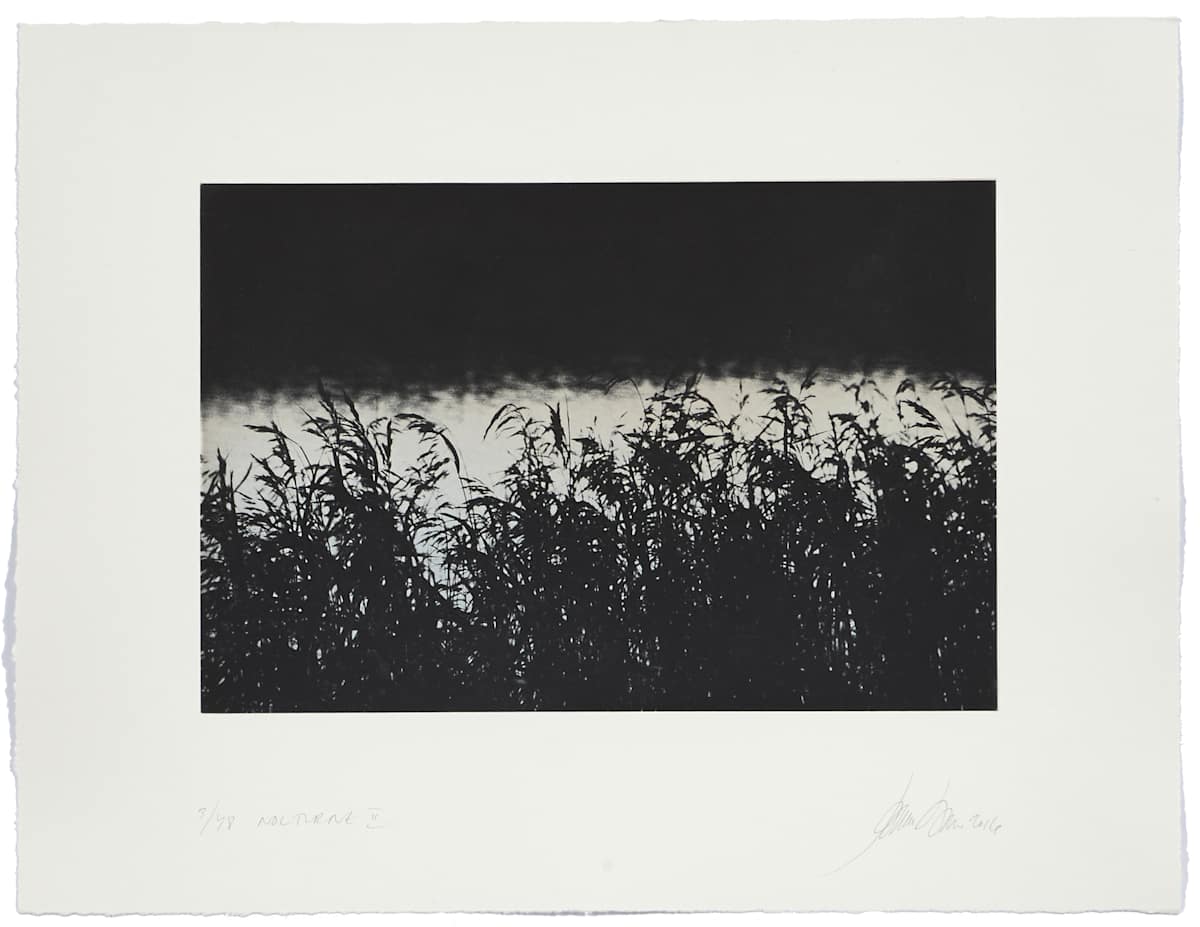 Nocturne II by Jeanne Laine 