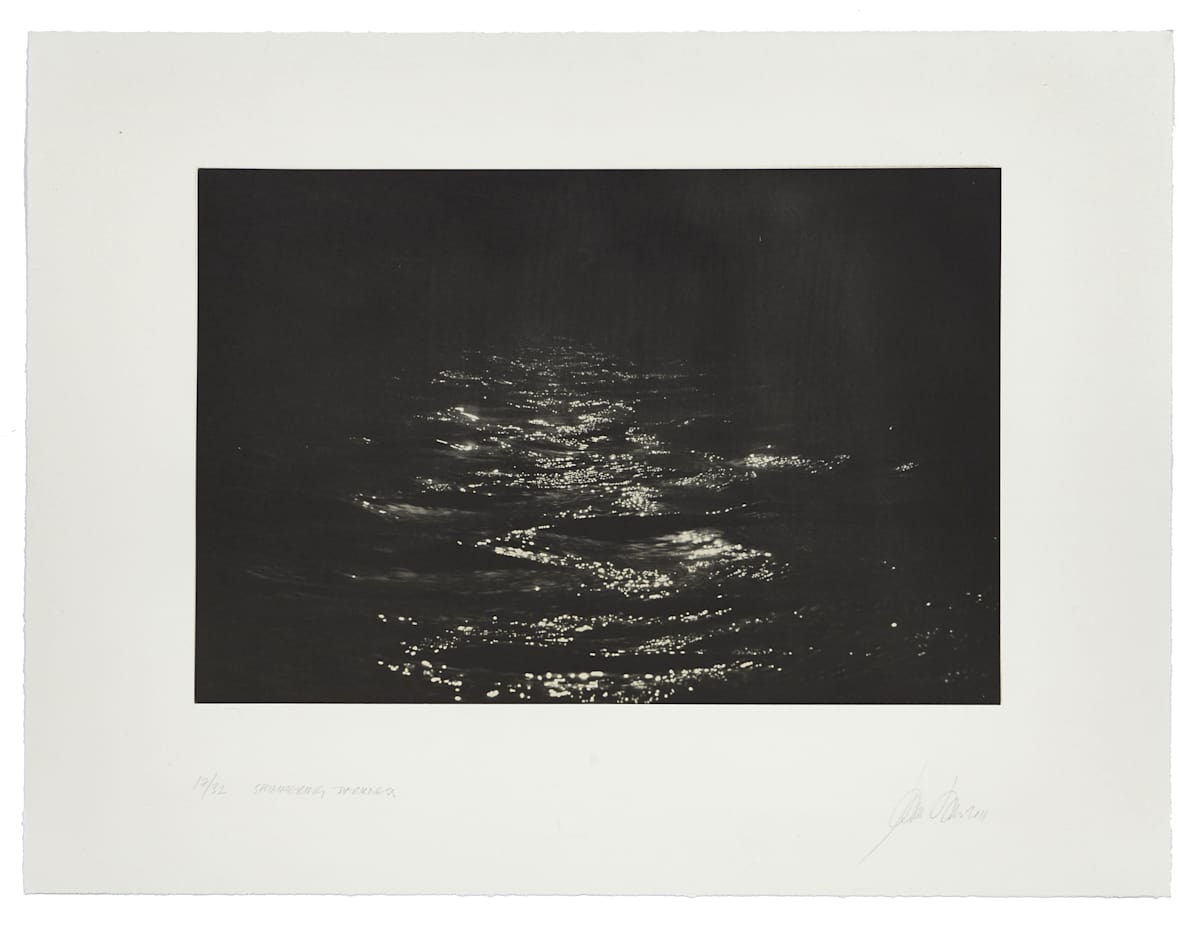 Shimmering Darkness by Jeanne Laine 