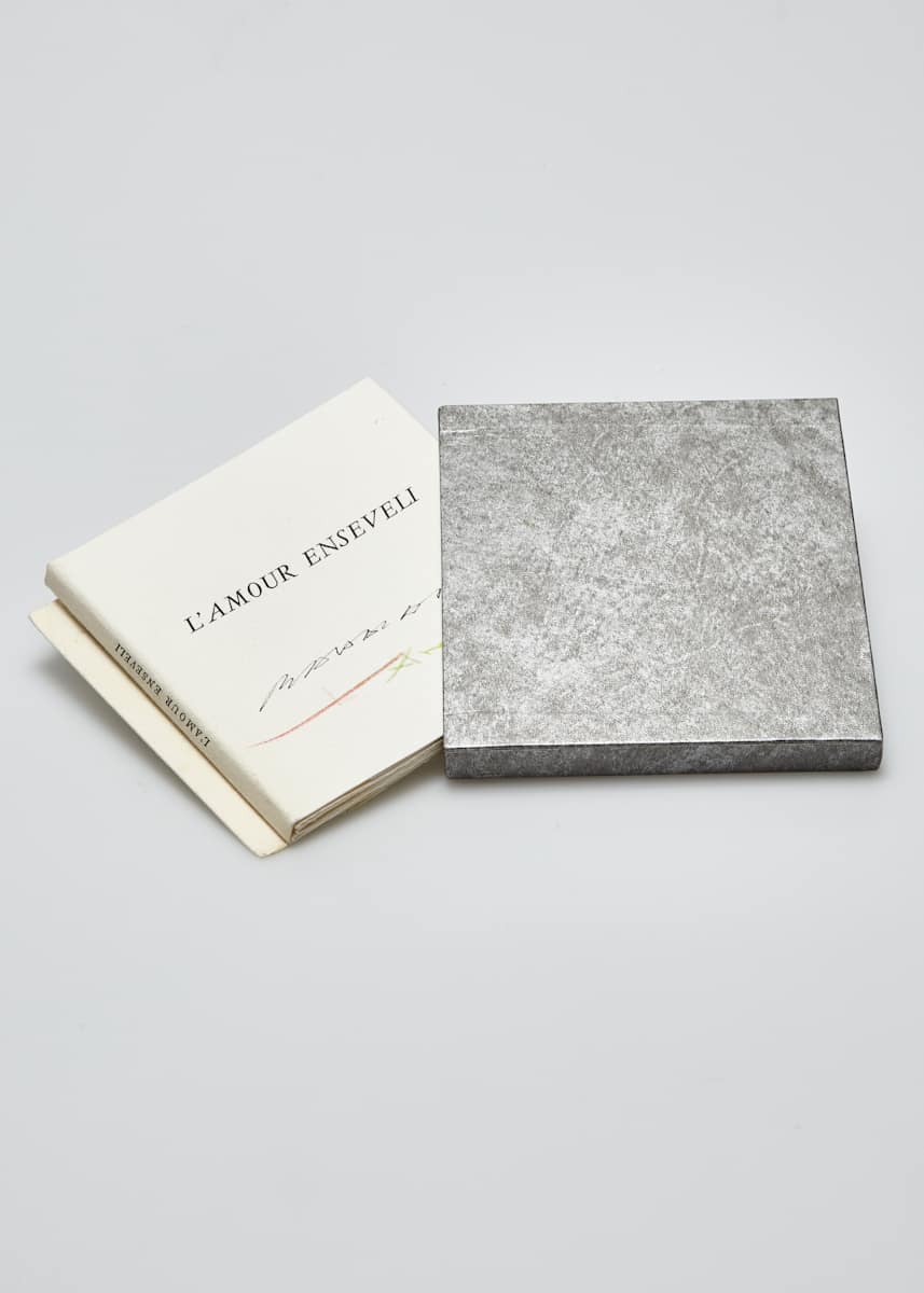 L'amour enselevi by Fernando Arrabal-A, julius Baltazar-L 
