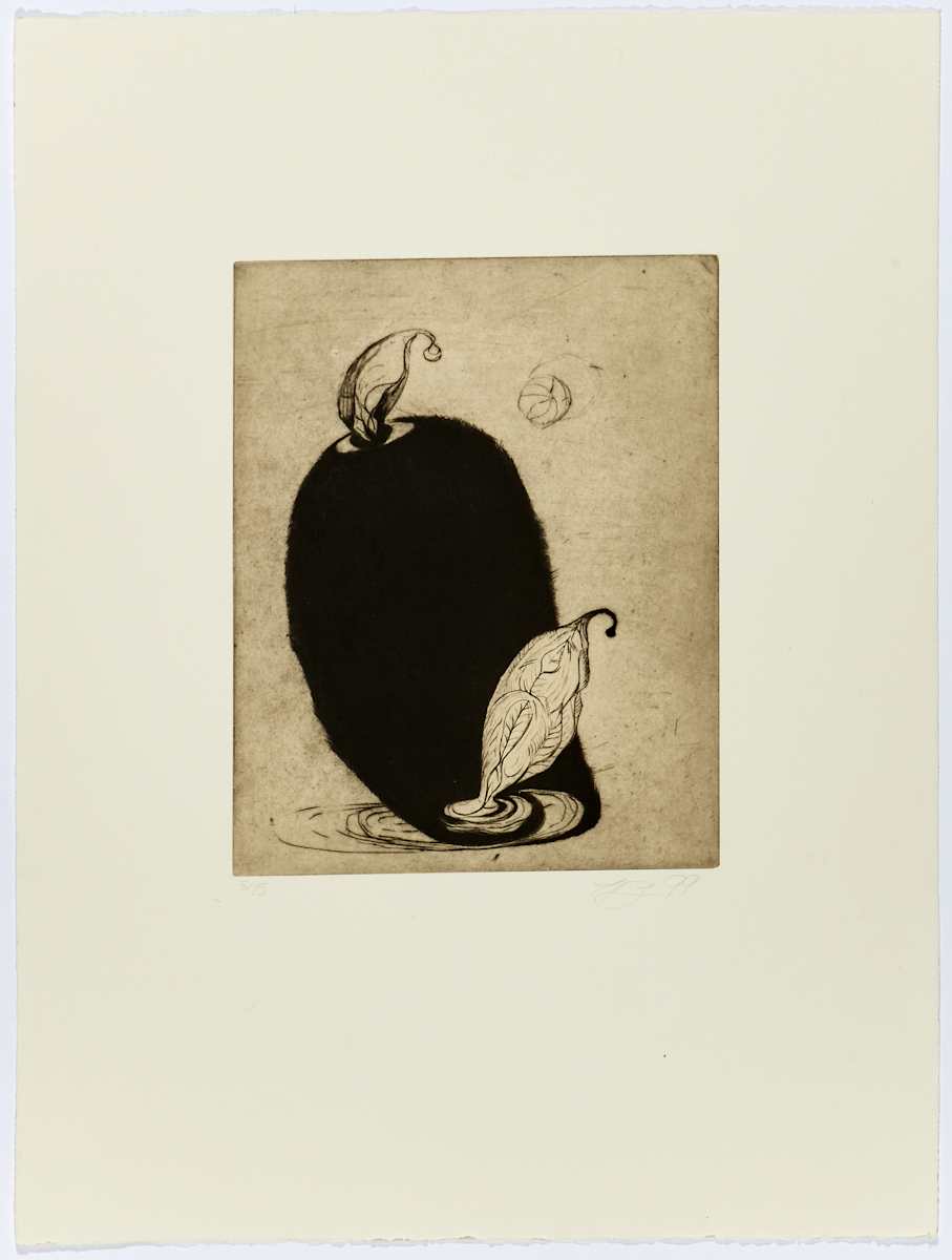 Plante noire by Louis-Pierre Bougie 