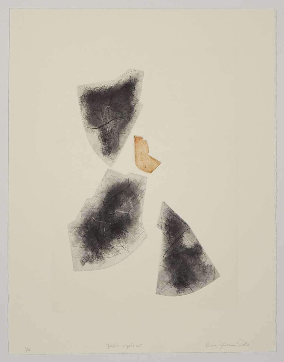 Poetica algebrica by Lucie Jolicoeur-Côté 