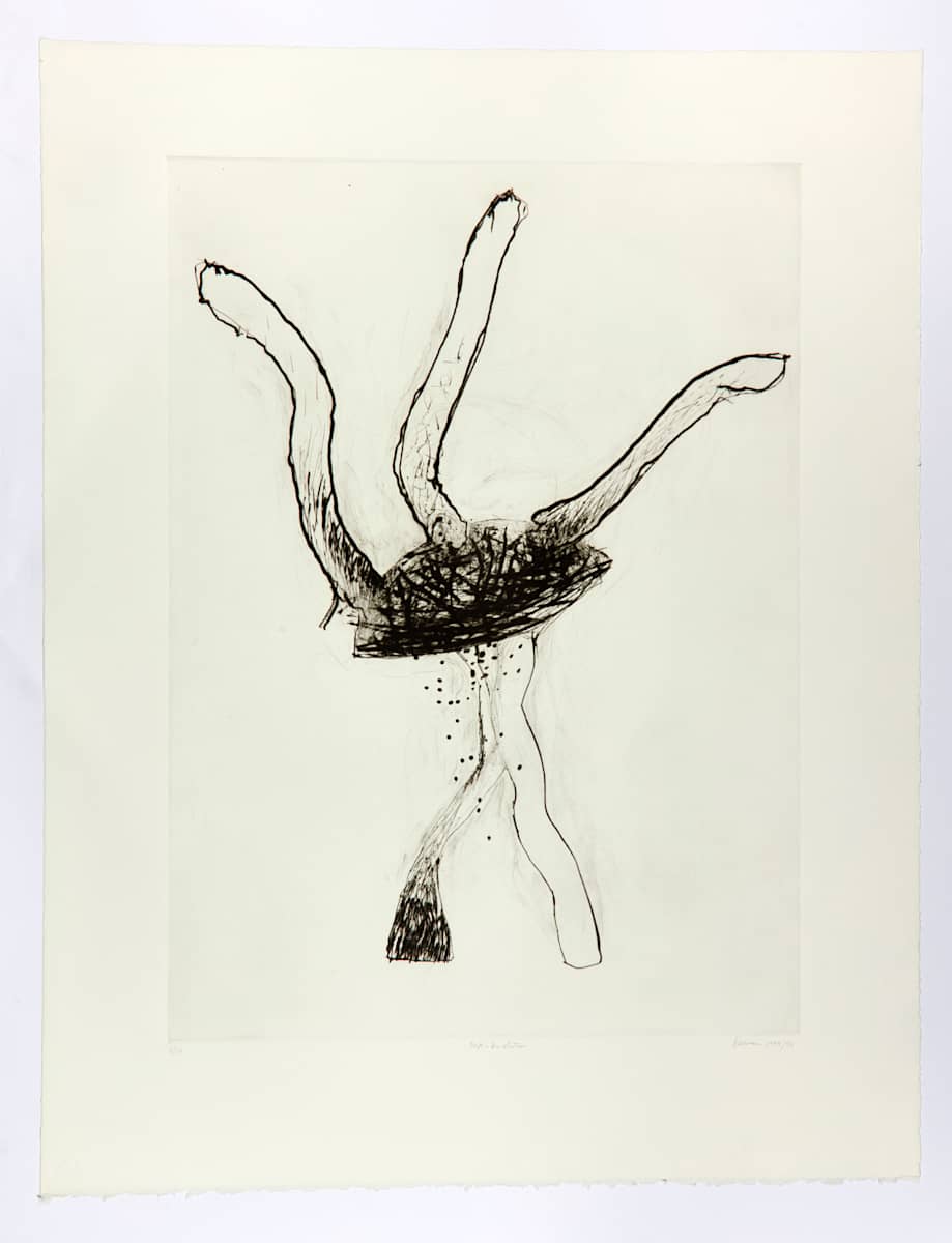 Post-evolution by Marc Garneau 