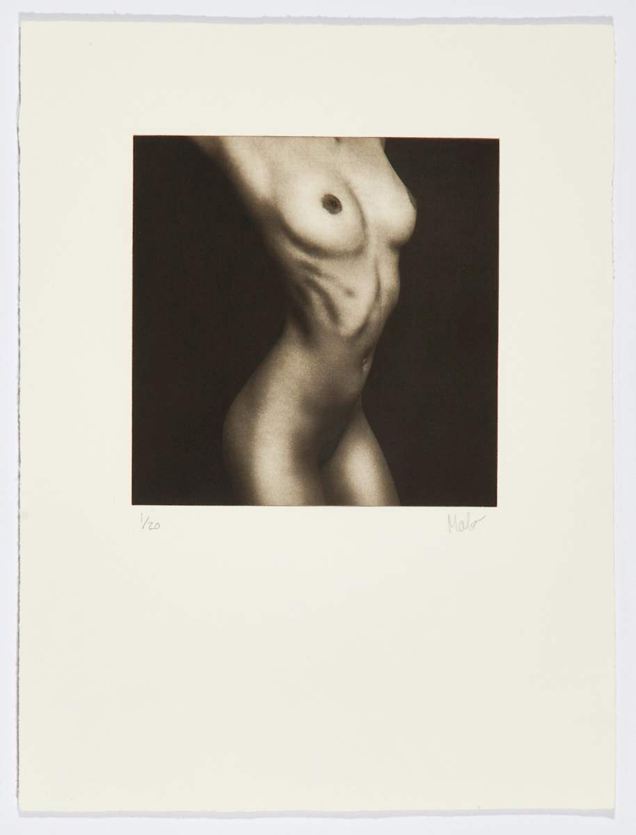 Piel II by Marcelo Troche 
