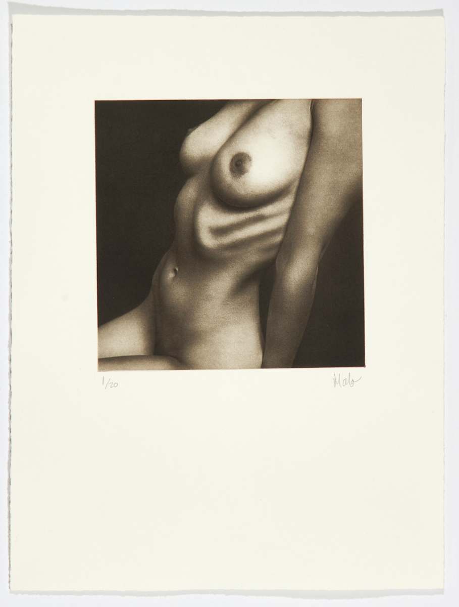 Piel IV by Marcelo Troche 