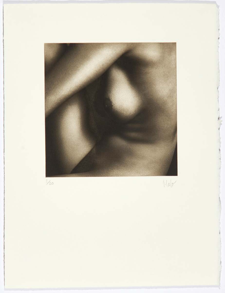 Piel V by Marcelo Troche 