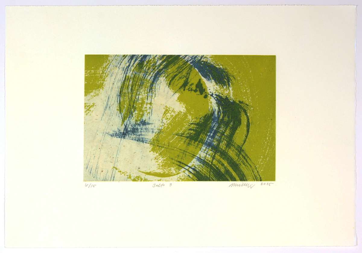 Salto III by Miville 