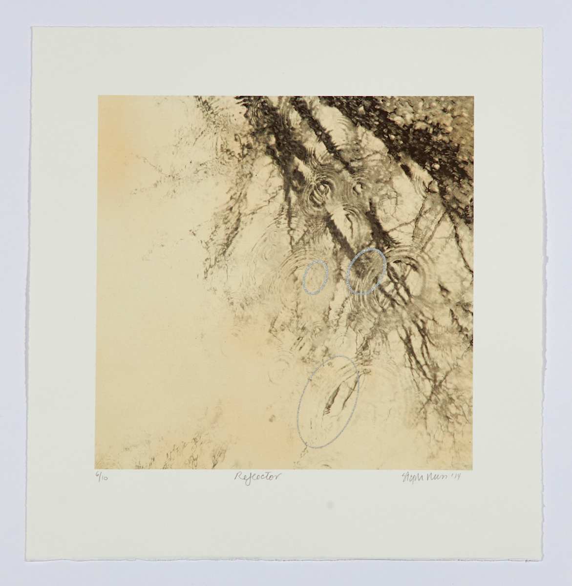 Reflector by Stephanie Russ 