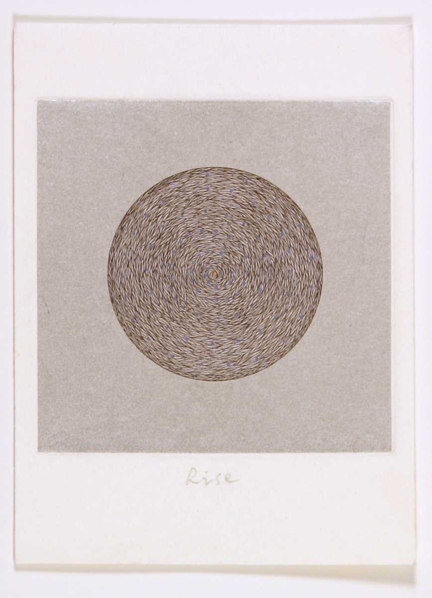 Rise by Wang Suo Yuan 