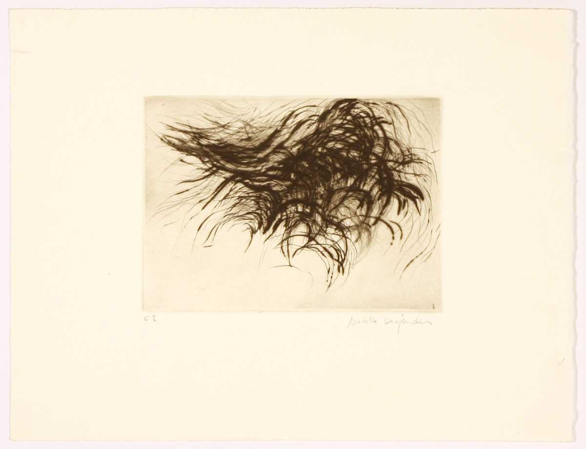 Sans titre 3 by Isabelle Desjardins 