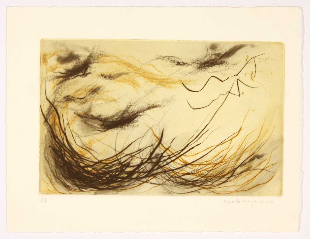 Nid aquatique by Isabelle Desjardins 