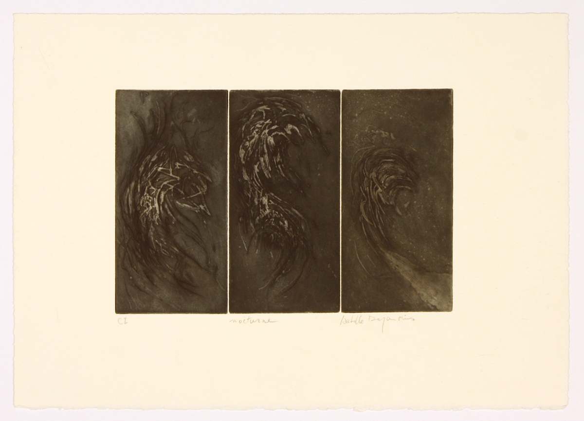 Nocturne by Isabelle Desjardins 