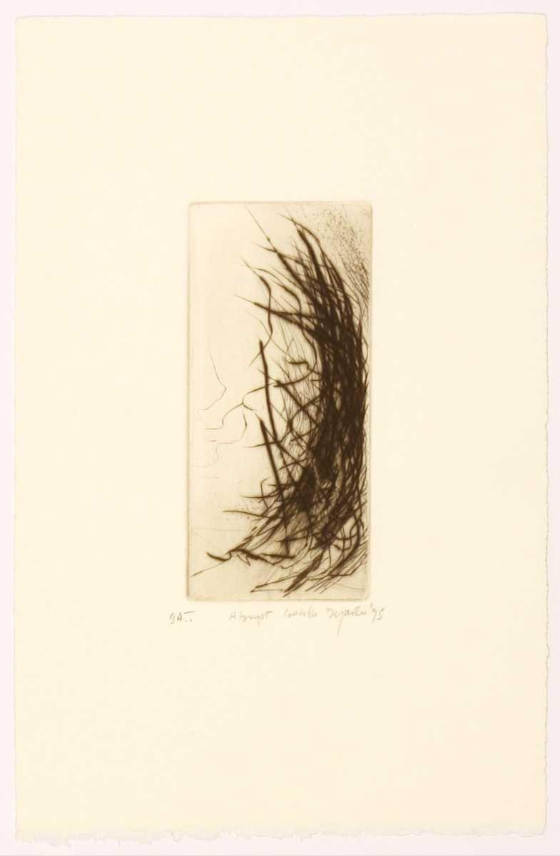 Abrupt by Isabelle Desjardins 