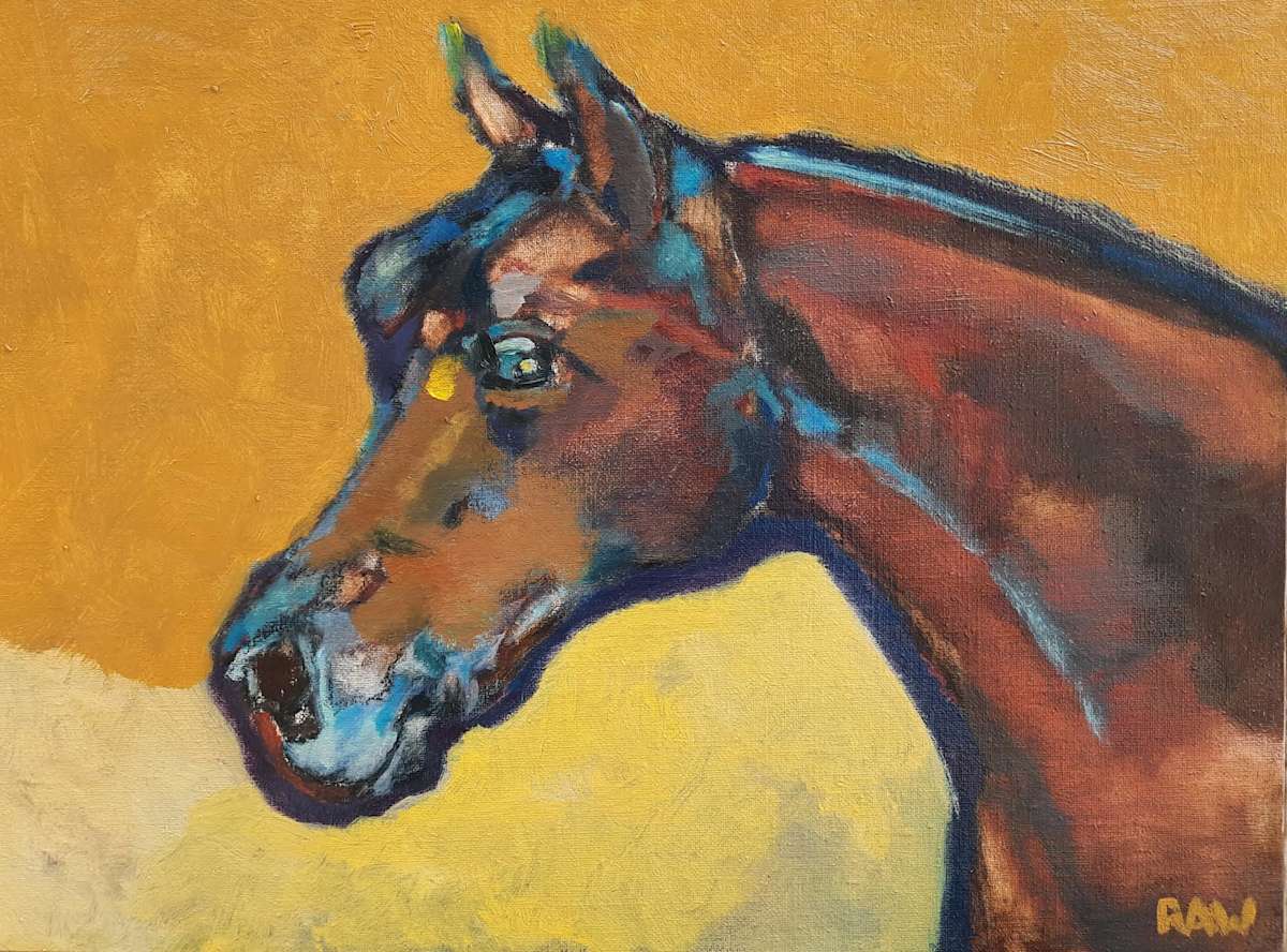 Pony Side Eye by Randine Westlund, Image 20.