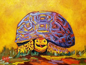 Mo the Tortoise by Randine Westlund 