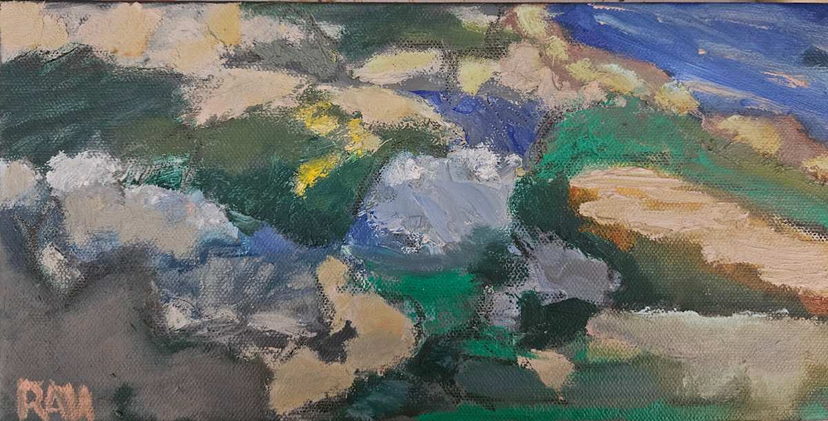 Rocks to Water by Randine Westlund 