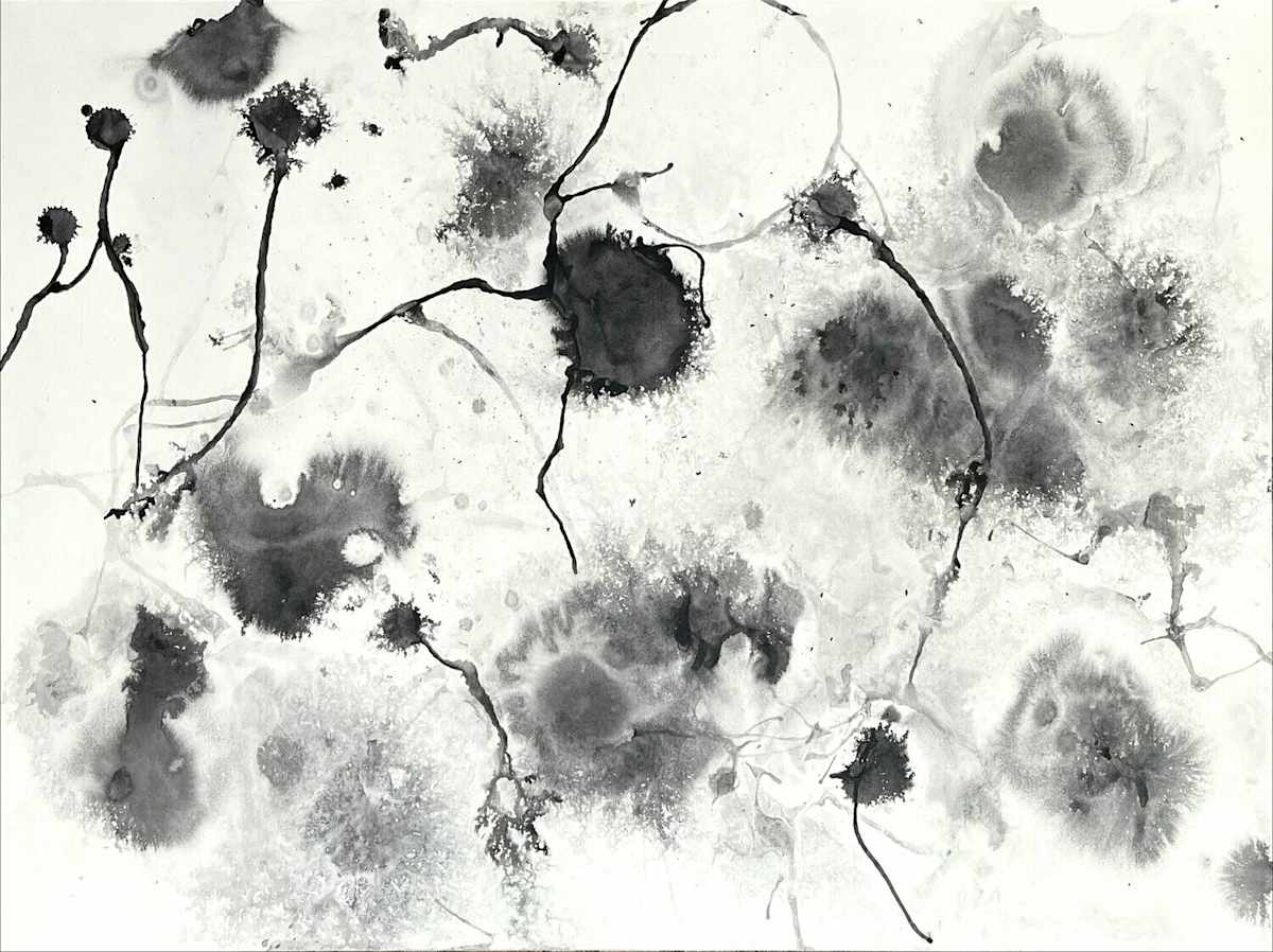 In vitro 002 by Carlo Brunelli 