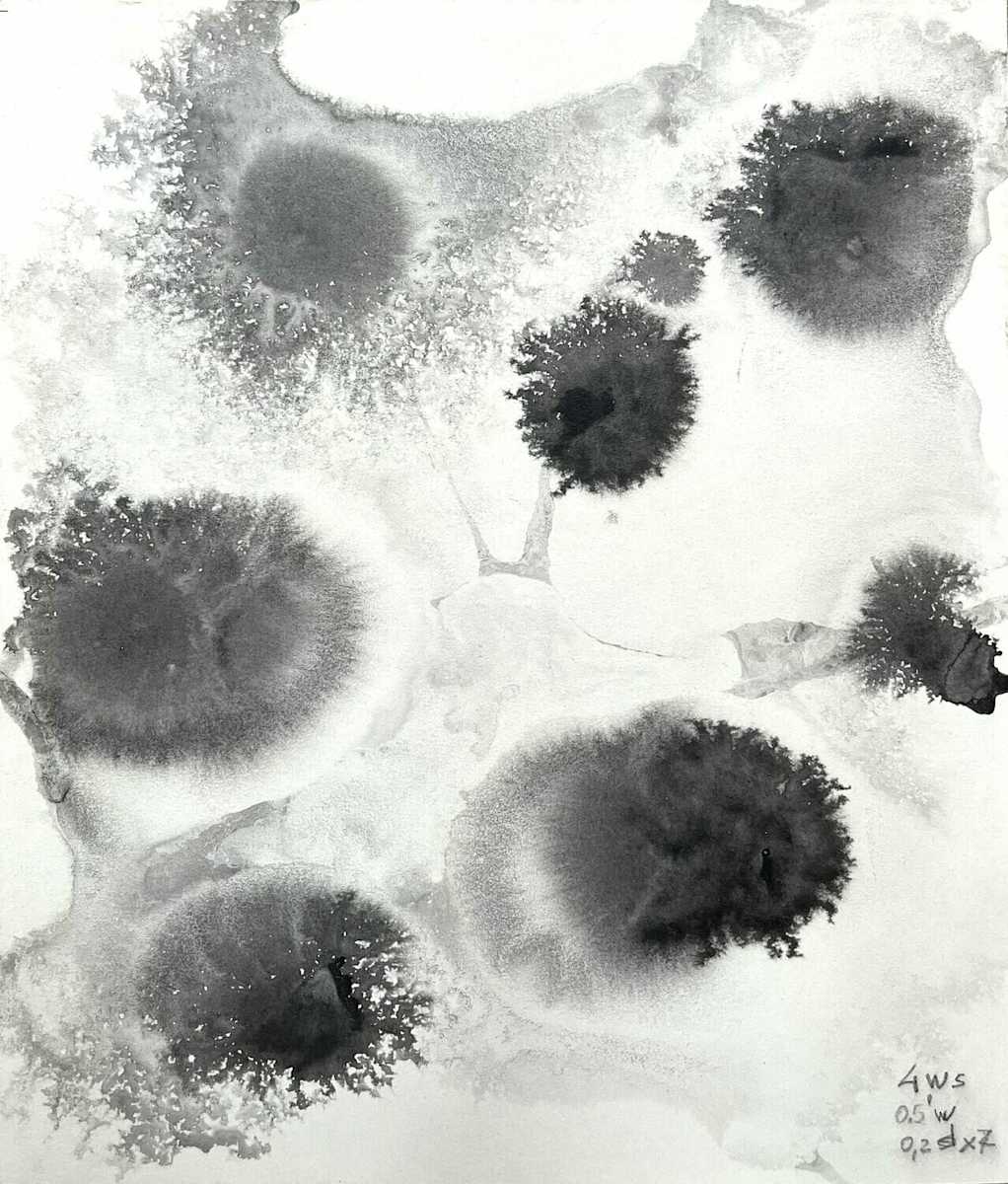 In vitro 001 by Carlo Brunelli 