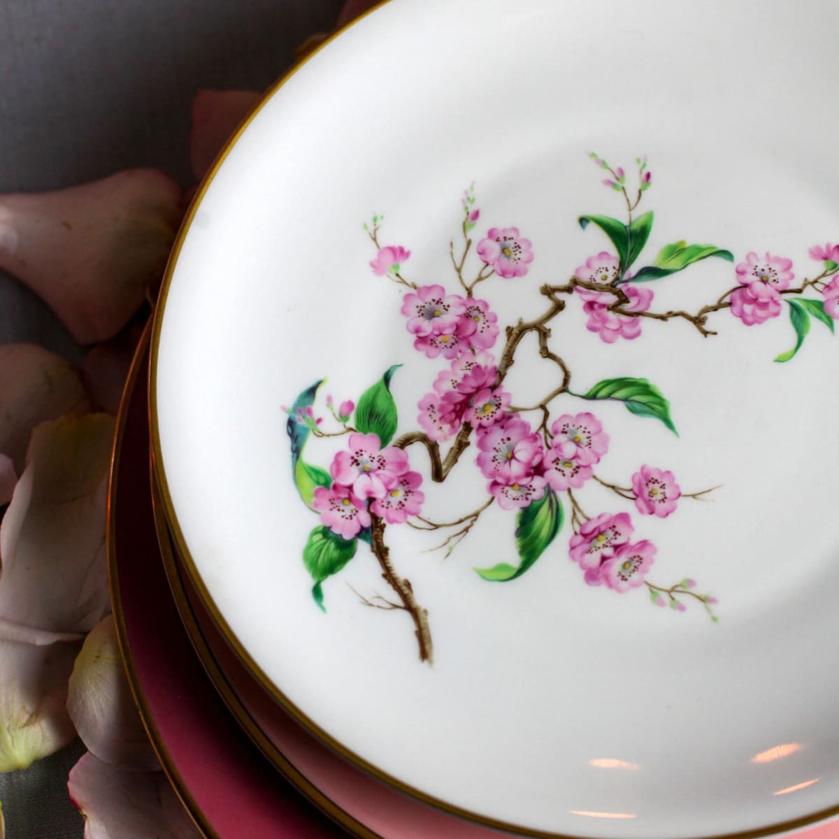 Blossomtime Plates, Set of 12 by Heinrich Selb Bavaria 