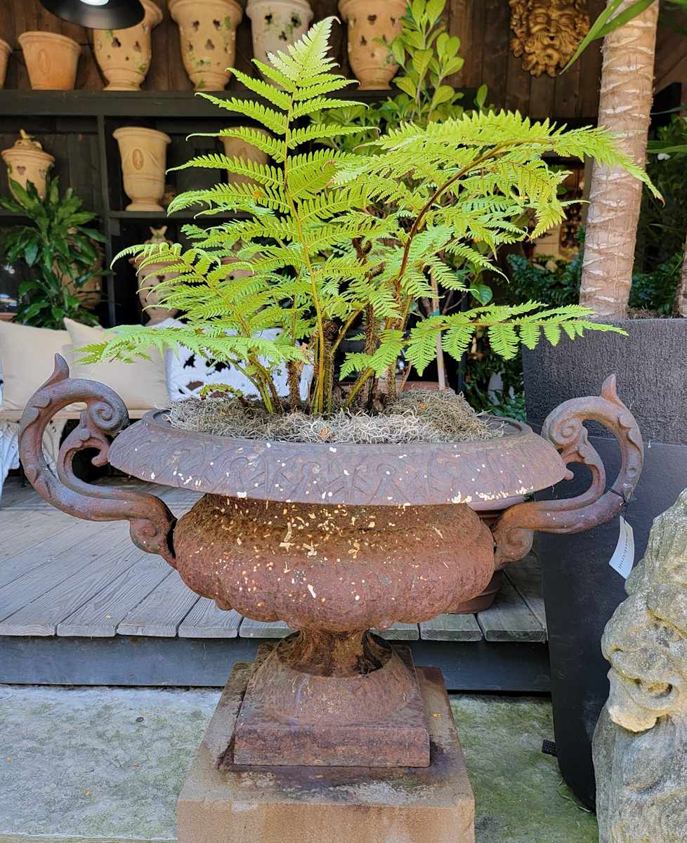 Trophy Handle Iron Urn / Pair 
