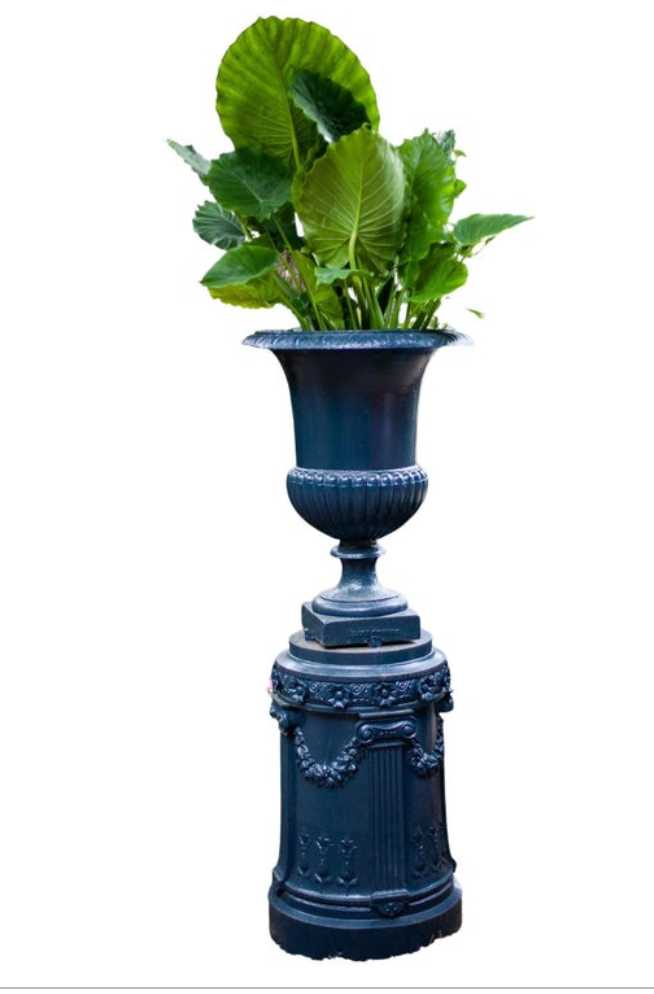 Neo-classical Egg and Dart Iron Urn on Plinth 