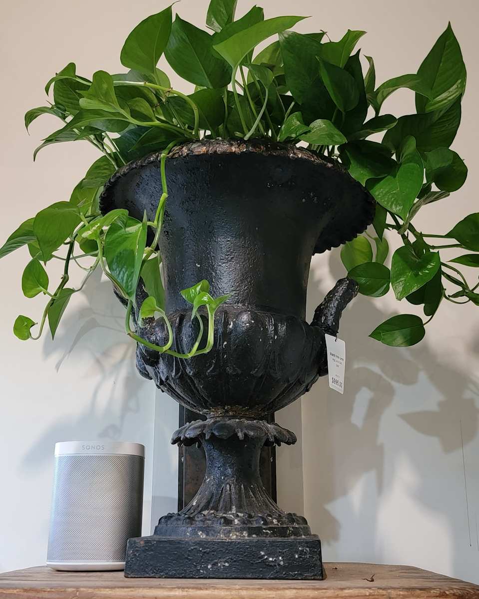 Black Egg and Dart Iron Urns / Pair 