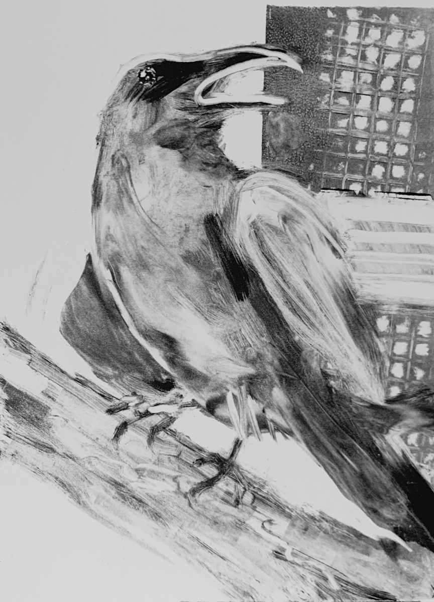 Crow  Too by Susan L Mueller 