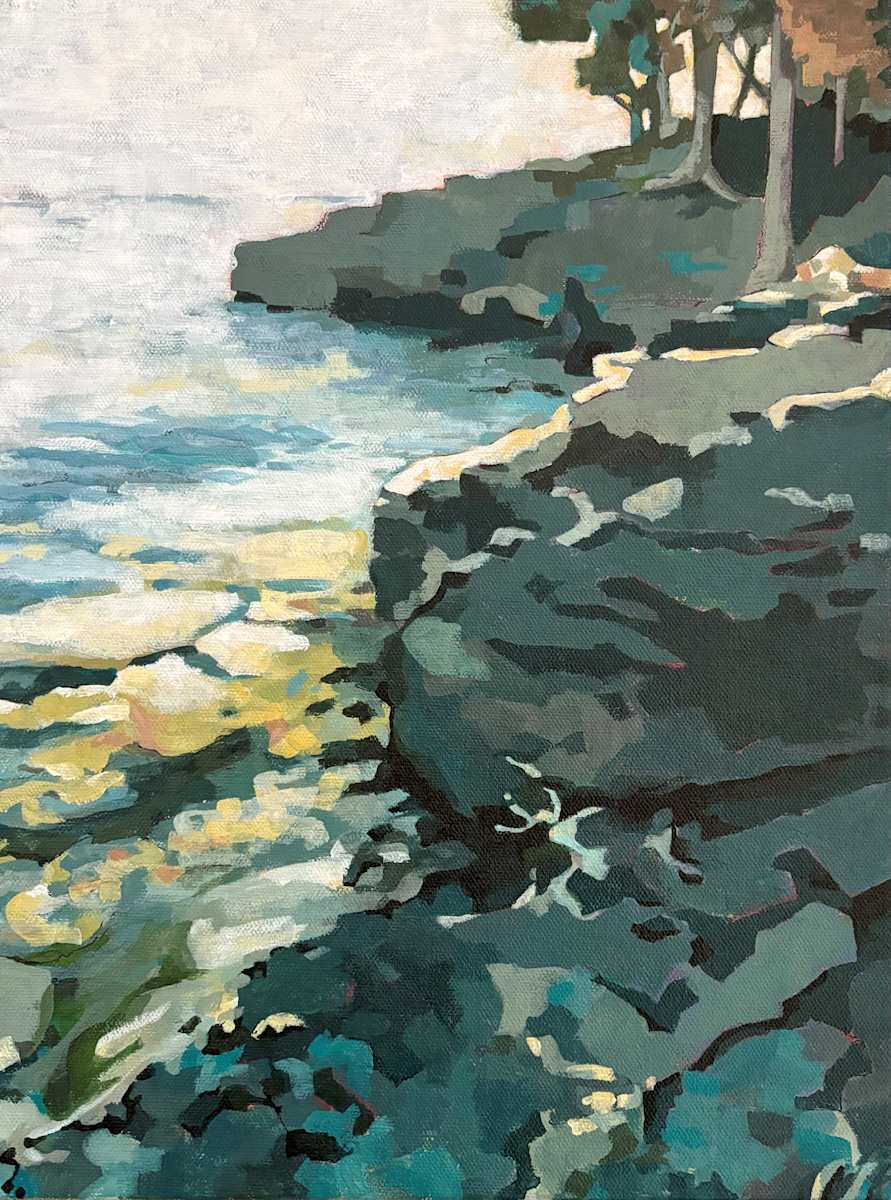 Lake Michigan shoreline by Erica Lambrecht 